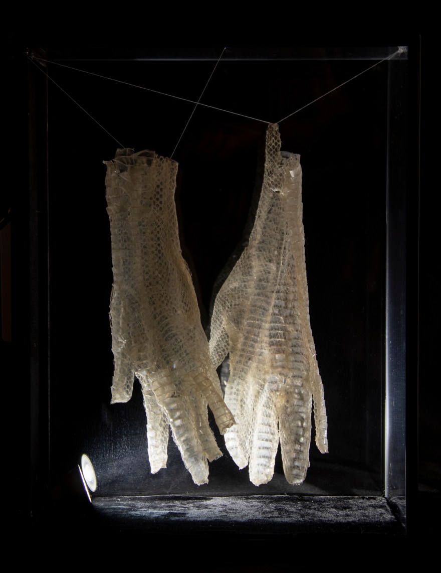 Exuvie_ValentineVera