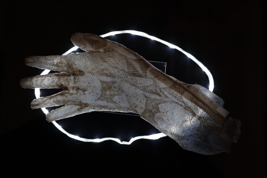 Exuvie_2_ValentineVera