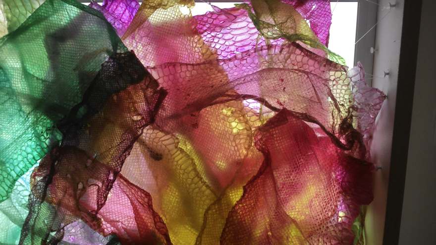 45685674_545295719228593_2252856401409867776_n