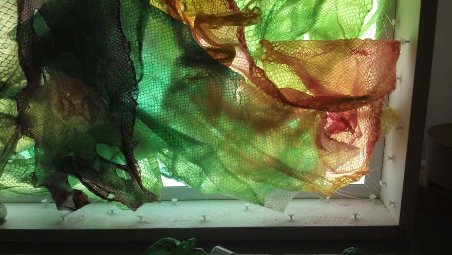 45881433_492675327895715_594484088639848448_n